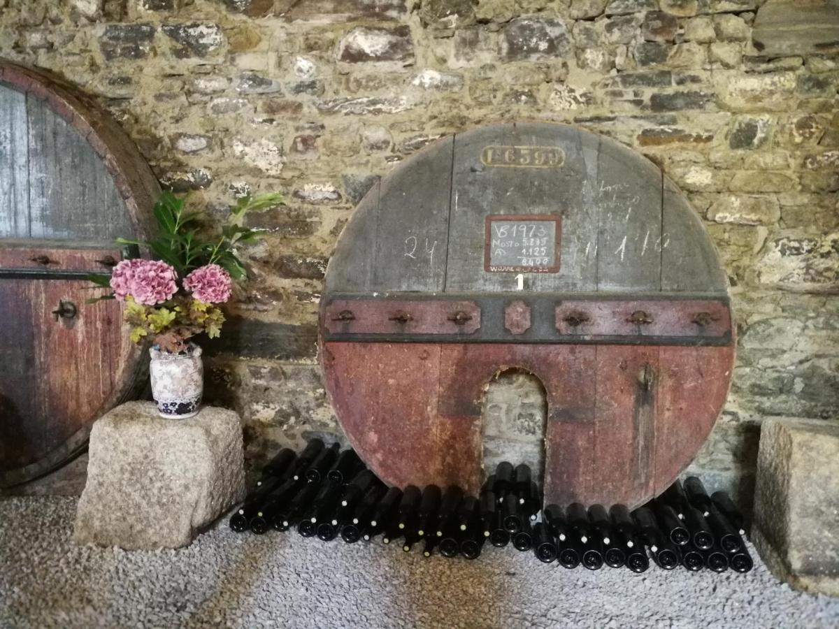 Quinta Do Fojo Bed and Breakfast Lamego Εξωτερικό φωτογραφία