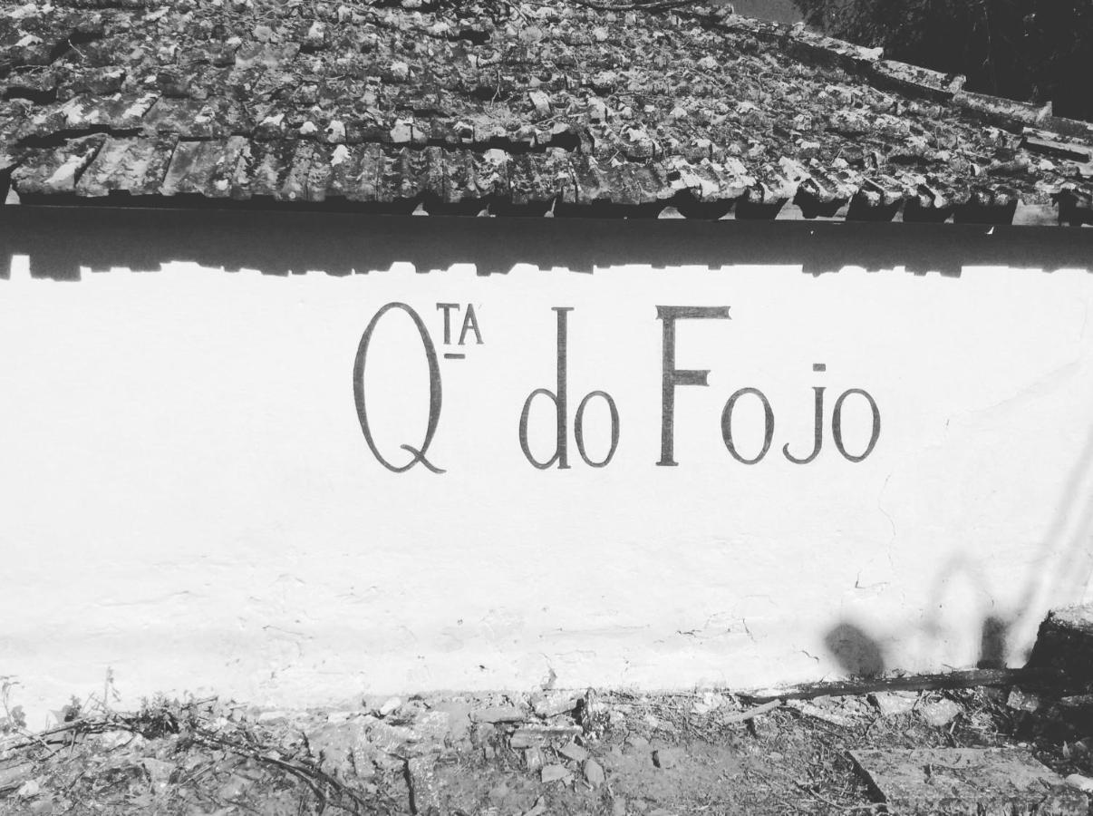 Quinta Do Fojo Bed and Breakfast Lamego Εξωτερικό φωτογραφία