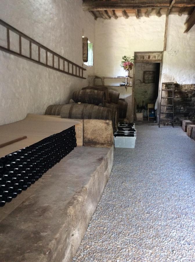 Quinta Do Fojo Bed and Breakfast Lamego Εξωτερικό φωτογραφία