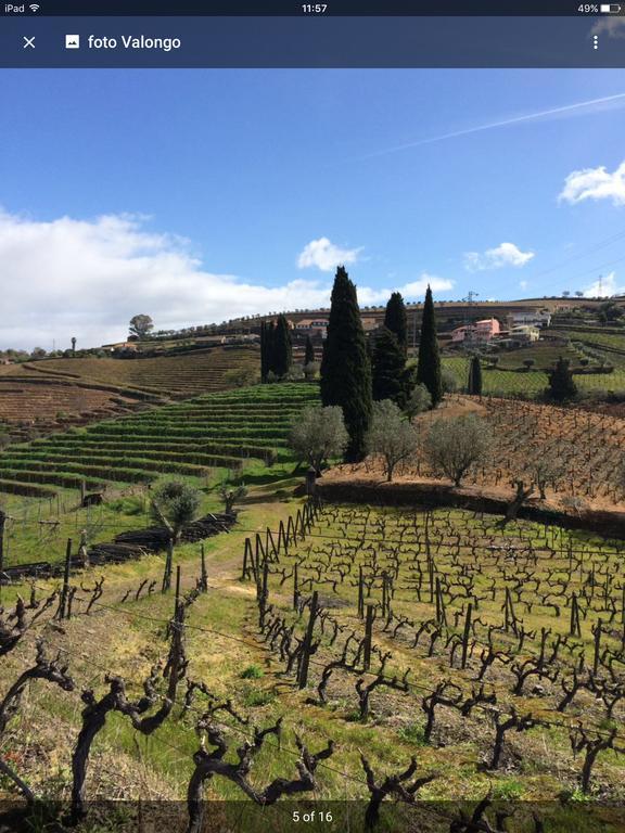 Quinta Do Fojo Bed and Breakfast Lamego Εξωτερικό φωτογραφία
