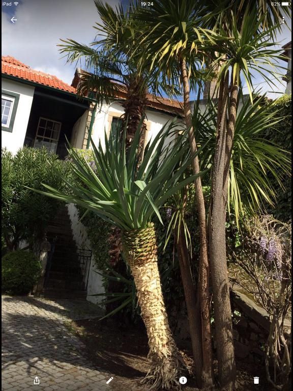 Quinta Do Fojo Bed and Breakfast Lamego Εξωτερικό φωτογραφία