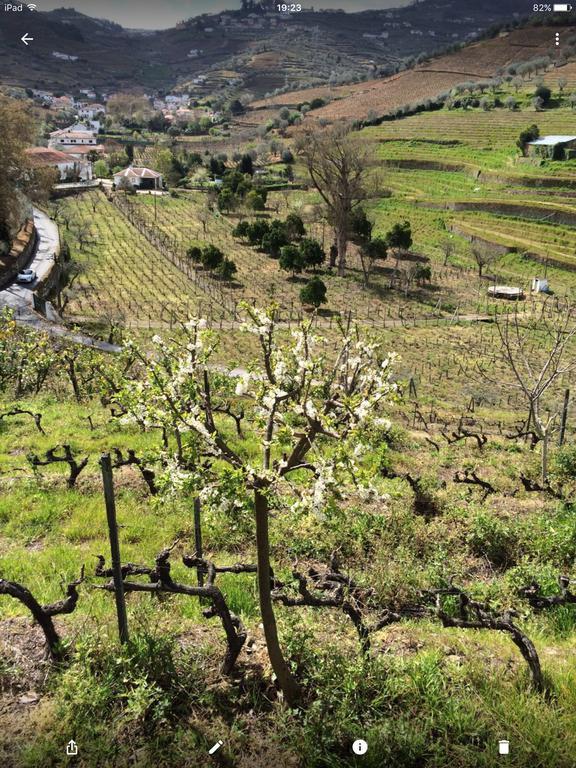 Quinta Do Fojo Bed and Breakfast Lamego Εξωτερικό φωτογραφία
