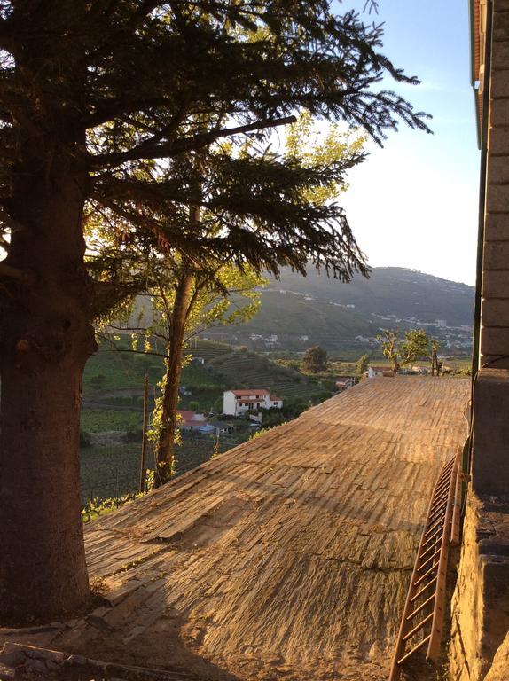 Quinta Do Fojo Bed and Breakfast Lamego Εξωτερικό φωτογραφία