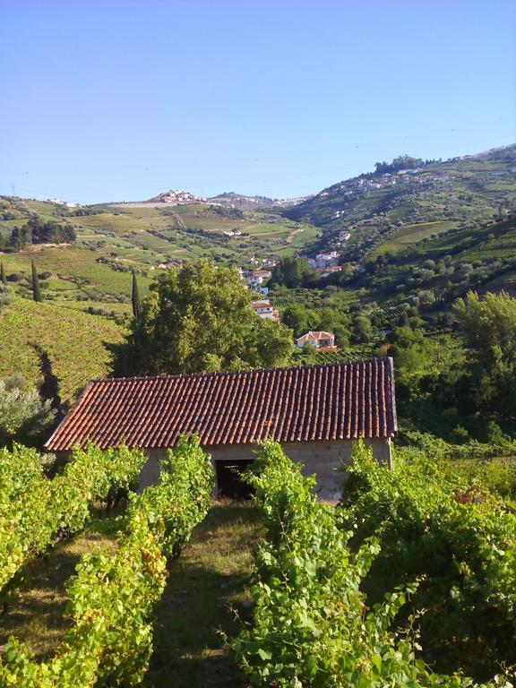 Quinta Do Fojo Bed and Breakfast Lamego Εξωτερικό φωτογραφία